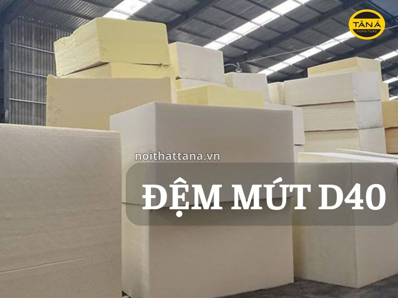 Đệm Mút Sofa Có Những Loại Nào? Cách Chọn Đệm Êm, Bền, Không Dễ Xẹp 1 nem mut d40